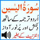 Urdu Surah Yaseen Sudaes Audio icône