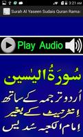 Urdu Surah Yaseen Sudaes Audio ภาพหน้าจอ 3