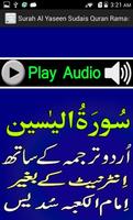 Urdu Surah Yaseen Sudaes Audio imagem de tela 3