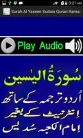 Urdu Surah Yaseen Sudaes Audio скриншот 3