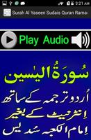 Urdu Surah Yaseen Sudaes Audio ภาพหน้าจอ 2