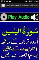 Urdu Surah Yaseen Sudaes Audio imagem de tela 2