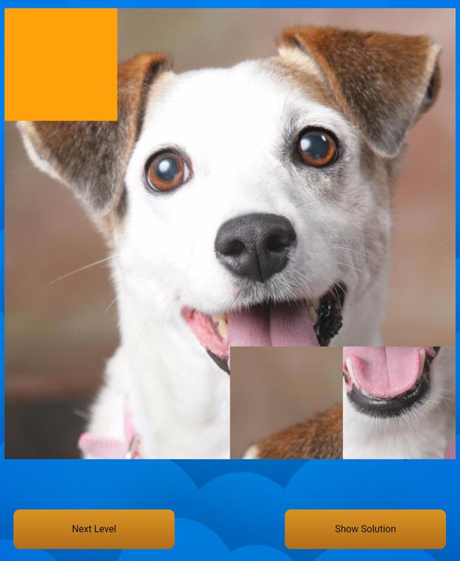Cute Dogs 15 Puzzle Screens7 Cute Dogs 15 Puzzle Screens7
