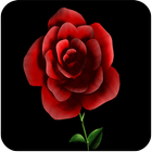 Rose GIF icône