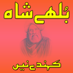 Bulleh Shah Kahnde Nain (Kalam