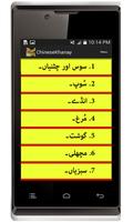 Chinese Khanay Urdu Screenshot 2