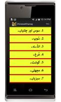 Chinese Khanay Urdu ภาพหน้าจอ 2