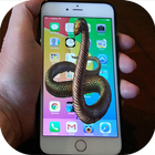 Snake On Screen Joke icon