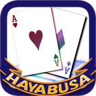 آیکون‌ HAYABUSA Couple