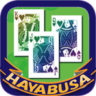 ikon HAYABUSA Four-Leaves Clover