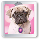 Pet Beauty Salon 2 APK
