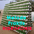 Metode Praktis Hidroponik آئیکن