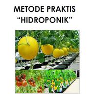 Metode Praktis Hidroponik اسکرین شاٹ 1