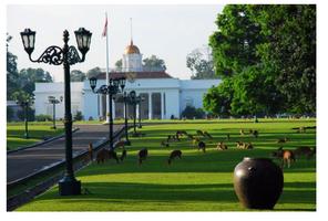 20 Tempat Wisata di Bogor স্ক্রিনশট 2