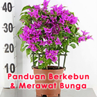 Panduan Berkebun Merawat Bunga icon