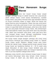 برنامه‌نما Panduan Berkebun Merawat Bunga عکس از صفحه