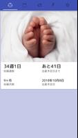 Pregnancy Light - 出産予定日・最終月経開始 Plakat