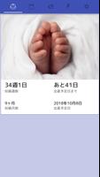 Pregnancy Light - 出産予定日・最終月経開始 โปสเตอร์