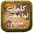 كلمات لها معنى عظيم APK