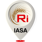 Ri IASA icône