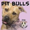 Our Pack's Pit Bull App