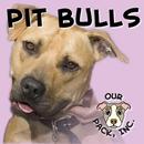 Our Pack's Pit Bull App APK
