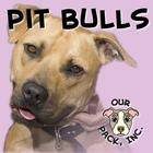 Our Pack's Pit Bull App иконка