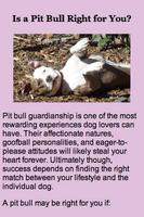 Our Pack's Pit Bull App poster