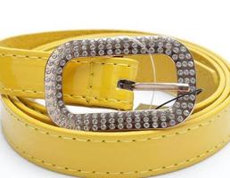 Fashion Waist Belt 스크린샷 2