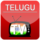 Telugu TV - QezyPlay icon
