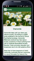 Ayurvedic Herbal Home Remedies تصوير الشاشة 3