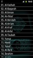 Quran Audio Ibrahim Al Akhdar screenshot 3