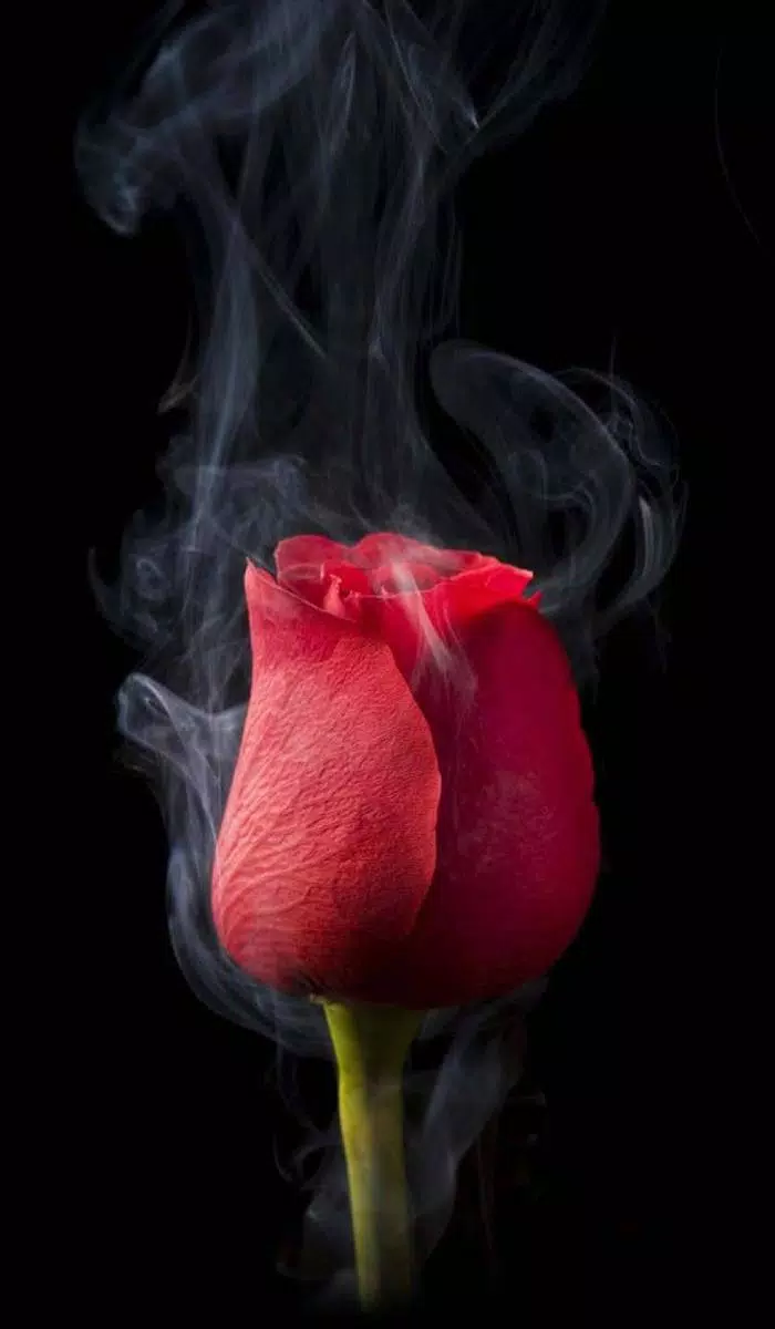 black Wallpapers APK pour Android Télécharger black Wallpapers APK pour Android Télécharger