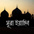 Surah Yasin आइकन