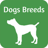 Dog Breeds simgesi