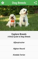 Dog Breeds Affiche