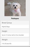 Dog Breeds screenshot 1