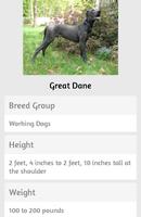 Dog Breeds screenshot 2