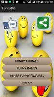 Funny Pictures penulis hantaran