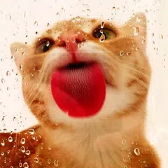 Cat licks screen LWP