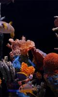 Aquarium Live wallpaper bài đăng
