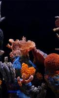 Aquarium Live wallpaper স্ক্রিনশট 1