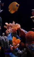 Aquarium Live wallpaper 截圖 2