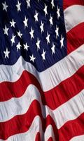 پوستر Flag of USA wallpaper