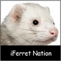 iFerret