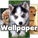 Funny Dogs Wallpaper HD APK