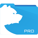 File Master - File Manager - File Explorer [Pro] APK