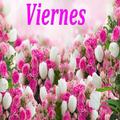 Viernes