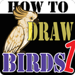 HowToDraw Birds1