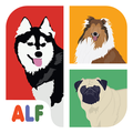 Icontrivia : Dogs
